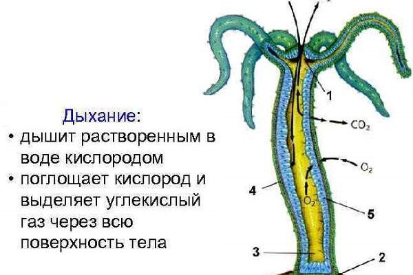 Сайт наркотиков купить