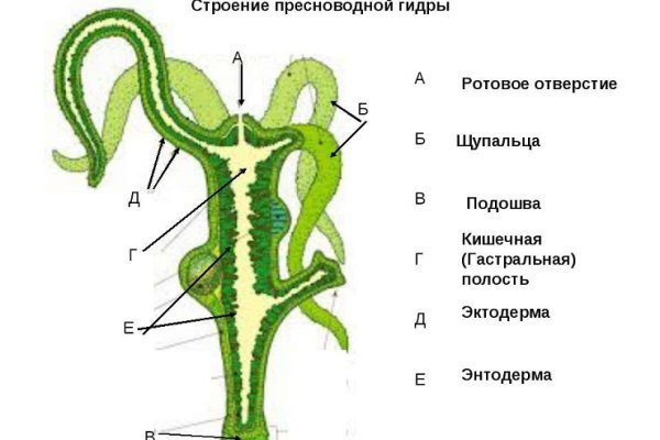 Kraken купить клад