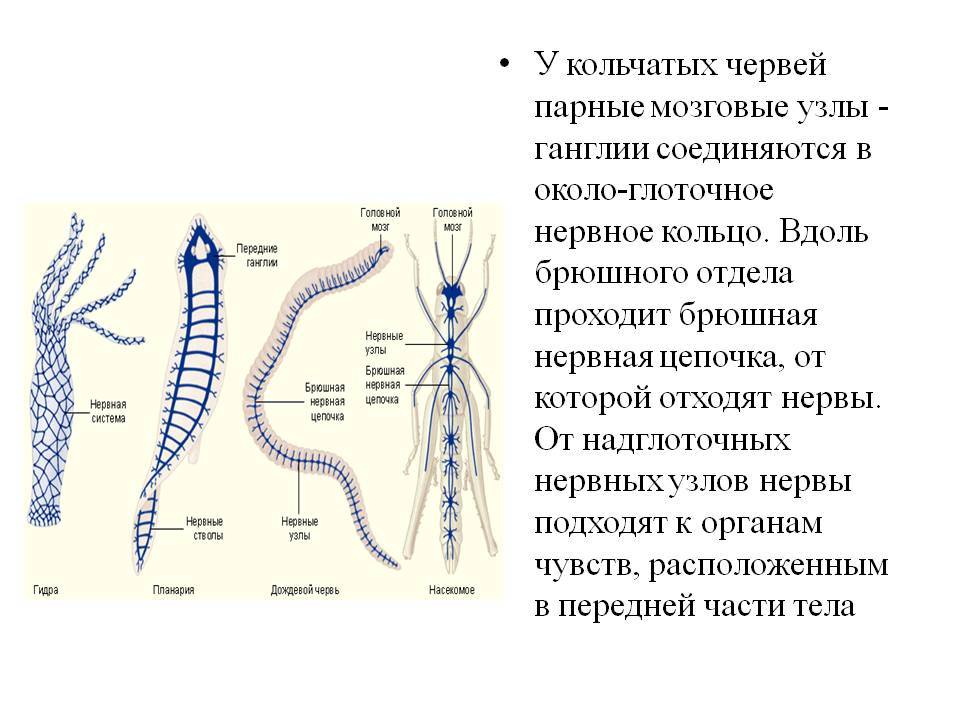 Кракен переход